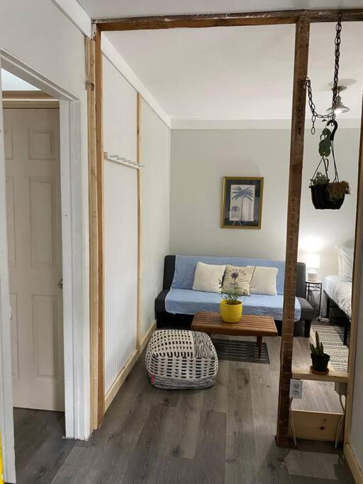 Studio Apt W Garden Kingston Zewnętrze zdjęcie