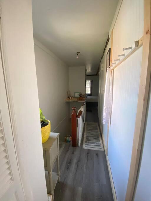 Studio Apt W Garden Kingston Zewnętrze zdjęcie