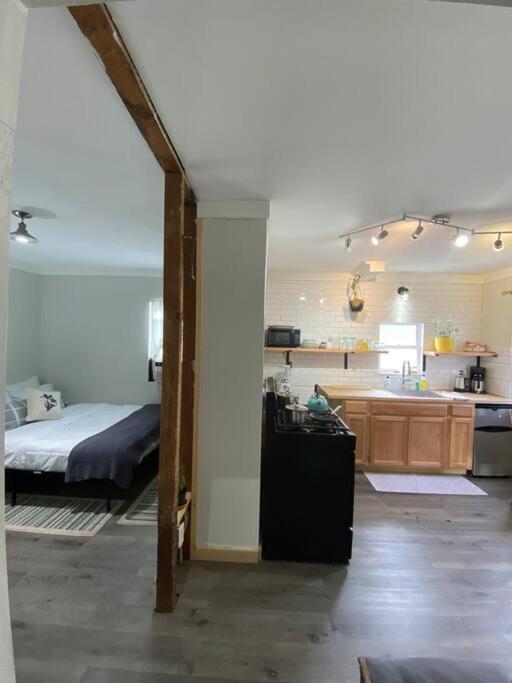 Studio Apt W Garden Kingston Zewnętrze zdjęcie