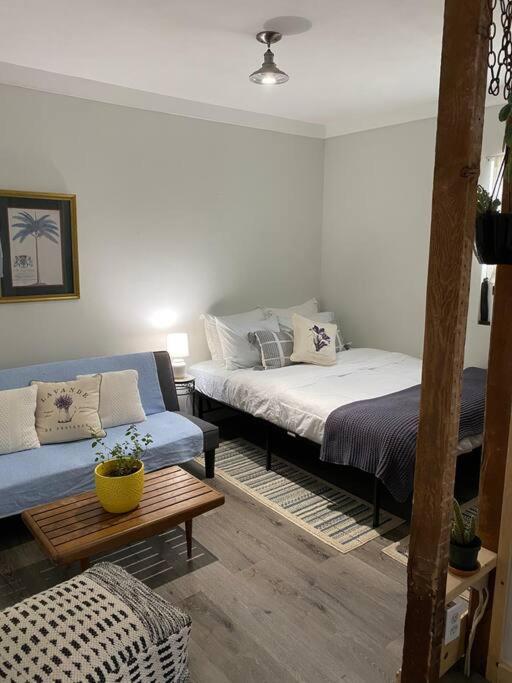 Studio Apt W Garden Kingston Zewnętrze zdjęcie