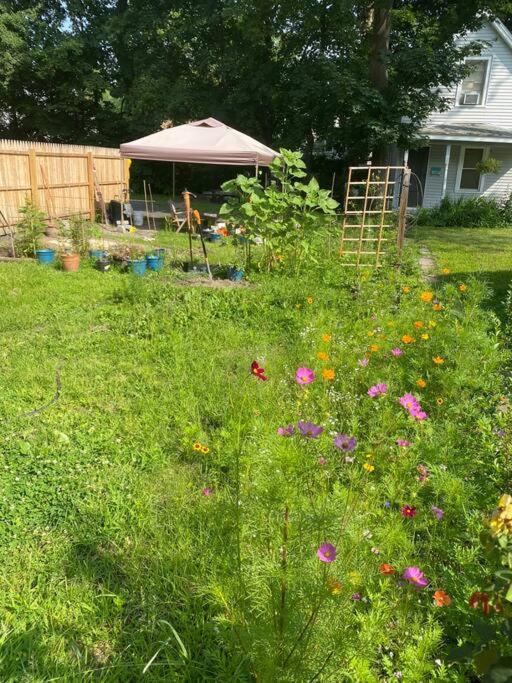 Studio Apt W Garden Kingston Zewnętrze zdjęcie